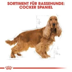 ROYAL CANIN Cocker Adult 12 Kg 13 ROYAL CANIN Cocker Adult 12 Kg -Trixie Deutschland Verkaufs-Shop 93a5a430a150edce75a03736821b4a48f8c895f6 1061209 de DE rc 2