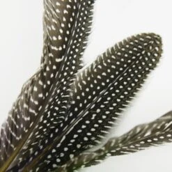 Schlitzohr Katzenangel Federanhänger 5x -Trixie Deutschland Verkaufs-Shop 93b8e0c984d323f24d455bf8e74e2dbacef5703e 1484675 de DE 7b80f213f44ebcad765dbdebc25bf2d2f0177dbd64kHU2