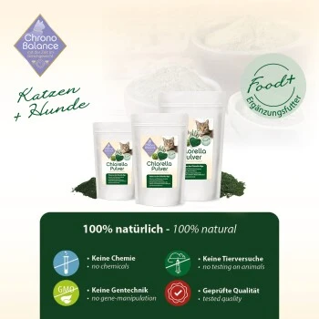 ChronoBalance Chlorella Pulver 100 G 3 ChronoBalance Chlorella Pulver 100 G – Bild 3