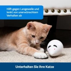 PetSafe Automatisches Katzenspielzeug RoloRat -Trixie Deutschland Verkaufs-Shop 97df3eec34472f4ac76f2a0bbe4e75fdbbe02b64 1351522 de DE 83c2d308e962c4b6c64101ee39311b3a61647f71n2yR1C