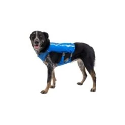 Ruffwear Trail Runner™ Weste Blau XS 17 Ruffwear Trail Runner™ Weste Blau XS -Trixie Deutschland Verkaufs-Shop 98442c3f4ada02dc38bbe918031392b2ba7e1943 1639640 de DE 57b978069b1aa95a705eb1af32811decb2e9cfecAOoih7