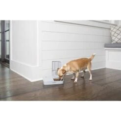 PetSafe Futterautomat Für 2 Mahlzeiten -Trixie Deutschland Verkaufs-Shop 98670f242f118bad629edcf021dc784c6a55633d 1343837 2