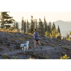 Ruffwear Trail Runner™ Leine 20 Ruffwear Trail Runner™ Leine -Trixie Deutschland Verkaufs-Shop 98f21e7cca63fb4d80dbaaac2586f93740693109 1651448 de DE 5295a8211b828d83dadc06360a315d29f14d29c0xJqSju