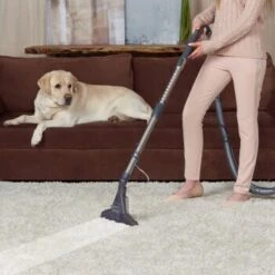 THOMAS DryBox Amfibia Pet 15 THOMAS DryBox Amfibia Pet -Trixie Deutschland Verkaufs-Shop 9953282c61e03abd8b9e8af05edae29417570062 1406734 de DE 1c8fb73e21f9aae62063930fedd2d58afb94e8aanSOWPf