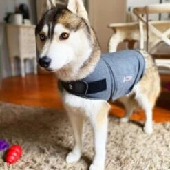 Thundershirt Beruhigungsweste Grau XS -Trixie Deutschland Verkaufs-Shop 9a1e301e33f1361e91f7c9989e135033c3825116 854880001141.PT09