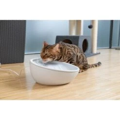 AniOne Keramik-Trinkbrunnen Waterfall Weiß Ohne Ersatzfilter 10 AniOne Keramik-Trinkbrunnen Waterfall Weiß Ohne Ersatzfilter -Trixie Deutschland Verkaufs-Shop 9ab78e65ebaf72b76c537cd735c5a7cd6cd4d027 a897eca6393f48ff54c98954a2b189a96196cfbd