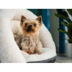 TrendPet LunaSuite Kuschelhöhle Beige S 11 TrendPet LunaSuite Kuschelhöhle Beige S -Trixie Deutschland Verkaufs-Shop 9b0e6908967831ef01ff6d76b34cd73bf7a2a82e 1347915 de DE 8819a7e1f2833756a61a70e3d5a5906257b91fccVBpHKR