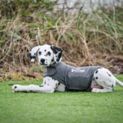 Thundershirt Beruhigungsweste Grau XS -Trixie Deutschland Verkaufs-Shop 9b6b99fb9c0e02a64cc609b7ca852c71d17d0d84 1102942 2