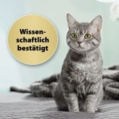 Felisept Home Comfort Set Diffusor + Flakon 45ml -Trixie Deutschland Verkaufs-Shop 9c015fbf97e9da0b9557db7ed4b82ab2943cb9e3 1667495 3