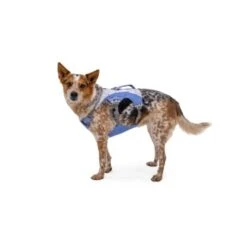 Ruffwear Swamp Cooler™ Geschirr Violett L-XL 18 Ruffwear Swamp Cooler™ Geschirr Violett L-XL -Trixie Deutschland Verkaufs-Shop 9c08d51037e9b6fa0de383af1dac2a8b98ac18a2 1651453 de DE 203c7bccc1793230d4ae6303c0a319bf98044f95DOp5lO