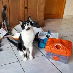 THOMAS Staubsauger 17 THOMAS Staubsauger -Trixie Deutschland Verkaufs-Shop 9c1c711bdc998f487ed8c24bc96dc66adbb9a8a0 1406733 de DE c0788b12d8ca7e012c5c5d1a7cf9568fa3623544LvViH7