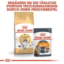 ROYAL CANIN Norwegian Forest Adult 10 Kg 9 ROYAL CANIN Norwegian Forest Adult 10 Kg -Trixie Deutschland Verkaufs-Shop a02b9db4fbab44608d8f96a75fee25646abd3ee2 af41e3357e03e3d428ca315b755dc856d14ee9c9