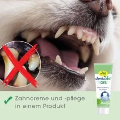 DentaVet Gel 35g -Trixie Deutschland Verkaufs-Shop a0d4d3bd9437af6bafea1b3b7a3c5a28814220c7 1249039 de DE 4ce29d2ba67554731965330067a7d46dd701a488pV84j2
