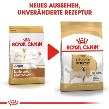 ROYAL CANIN Labrador Retriever Adult 12 Kg 6 ROYAL CANIN Labrador Retriever Adult 12 Kg – Bild 6