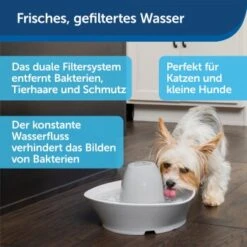PetSafe Trinkbrunnen Streamside 9 PetSafe Trinkbrunnen Streamside -Trixie Deutschland Verkaufs-Shop a4863bb01c9defc206f3abadb7407b11767619bd 1423698 de DE d7c376710365041814bb26a7ca9d55a6a9011fd8Nm0GoI