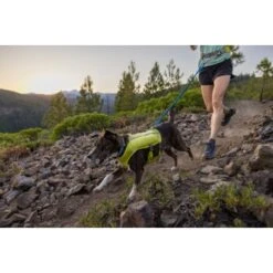 Ruffwear Trail Runner™ Leine 18 Ruffwear Trail Runner™ Leine -Trixie Deutschland Verkaufs-Shop a5e8a95b67ab4a40ed78579217427f0ab0222efa 1651448 de DE 5a8260028b8fd2772da5e61732fbde05b9e5b903tiQYKB