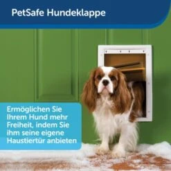 PetSafe Haustierklappe Für Extremes Wetter S -Trixie Deutschland Verkaufs-Shop a6418c2f84c3e14467d7c91992b367da97c80c68 1279434 de DE fb7da59b7a5bf84ad58e13f5dc3d9cc04f4fa864u7H7aK