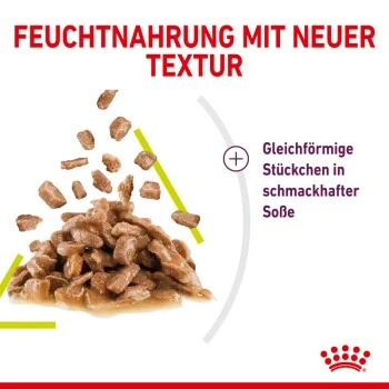 ROYAL CANIN SENSORY Smell In Soße Für Wählerische Katzen 12x85g 4 ROYAL CANIN SENSORY Smell In Soße Für Wählerische Katzen 12x85g – Bild 4