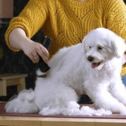 Moser Schermaschine Arco Pro 14 Moser Schermaschine Arco Pro -Trixie Deutschland Verkaufs-Shop b131ca6d4dc18dbcff5826048d13c7a9865a2f22 9527aaf3ea2ef7fd3da12225a4b042dbe7fd8159