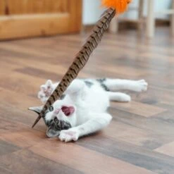 Schlitzohr Federwedel Birdy 3er Pack 15 Schlitzohr Federwedel Birdy 3er Pack -Trixie Deutschland Verkaufs-Shop b2468018bd2b888c11ee64154d86732de60c7830 1659562 de DE 7d36675a42a956412d003b03e1f072b0ae0379063UsHBd