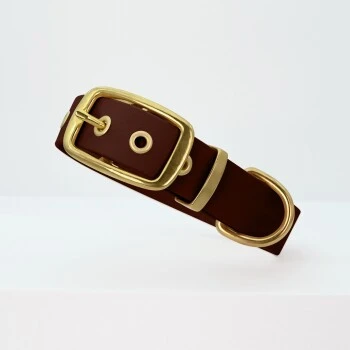 THE DOG IDEA Biothane Halsband Gold Braun XS 3 THE DOG IDEA Biothane Halsband Gold Braun XS – Bild 3