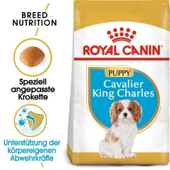 ROYAL CANIN Cavalier King Charles Puppy 1,5kg 2 ROYAL CANIN Cavalier King Charles Puppy 1,5kg – Bild 2