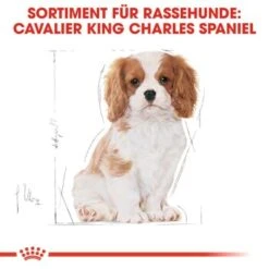 ROYAL CANIN Cavalier King Charles Puppy 1,5kg 16 ROYAL CANIN Cavalier King Charles Puppy 1,5kg -Trixie Deutschland Verkaufs-Shop b61aedf9bd8d9f993d38a0d1f624b61ac5587ac8 37c744fbbc45bd93069752b44af4a2e5d6bff7a9