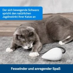 PetSafe Automatisches Katzenspielzeug RoloRat -Trixie Deutschland Verkaufs-Shop b65e953878b463eb5125c940634b84e8b7c79a3f 1351522 de DE 3daf7dbb27d01ce7d63f06677a32dd6cde28abb9X2tLJP