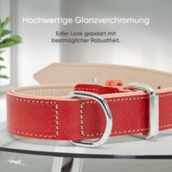 Freudentier Gefüttertes Halsband Aus Leder Rot L -Trixie Deutschland Verkaufs-Shop b6a6115b4bff2377ef42c420cc3939331dd65eb4 1655241 de DE 6d5809524c7eef7e530141859c494be8d690f770ogbuUj