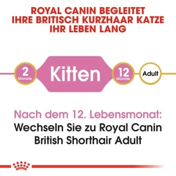 ROYAL CANIN British Shorthair Kitten 2 Kg 4 ROYAL CANIN British Shorthair Kitten 2 Kg – Bild 4
