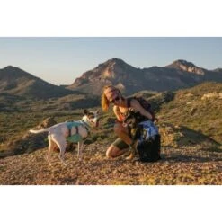 Ruffwear Swamp Cooler™ Geschirr Violett L-XL 19 Ruffwear Swamp Cooler™ Geschirr Violett L-XL -Trixie Deutschland Verkaufs-Shop bb26cdd896074e6ea6b83a2e11f4b6cb5c7a08c9 1651453 de DE 0738621222b34f456fd2a616a7dc06e6b24f57112NyqMj