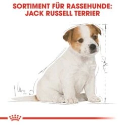 ROYAL CANIN Jack Russel Terrier Puppy 1,5kg -Trixie Deutschland Verkaufs-Shop bb3f5f8c600f3d186a55e0b092a0352606da8b46 5f62f0670b22e1110337187d33f26910051f1a81