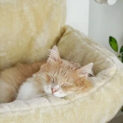 Schlitzohr Heizungsliege Lucky Beige -Trixie Deutschland Verkaufs-Shop bdc02033928d033279e49ebefe91371e629dfd2f 1484673 de DE 4daf09016934a9074c92f48c173e840fa6385a4agwWEjb