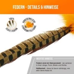 Schlitzohr Federwedel Birdy 3er Pack 18 Schlitzohr Federwedel Birdy 3er Pack -Trixie Deutschland Verkaufs-Shop bdc9ecaec43f47b36019280ae7e788c534174412 1659562 de DE 36b11fb8804ed0ab3e1a5483fcd8be597379266daxQShR