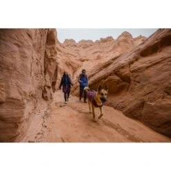 Ruffwear Overcoat Fuse™ Hundejacke Violett XXS -Trixie Deutschland Verkaufs-Shop be1df80a58a073c4a06905f9850fdb02868343c3 1639761 de DE 6b99be5157e3de813670a6d4268b03b177d774edbPJ4YO