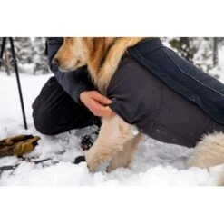 Ruffwear Cloud Chaser™ Hundejacke -Trixie Deutschland Verkaufs-Shop c08ed86245839b8fa7d59b47206e376a4924f862 1369625 de DE 87ed046f15d6c099e4f33a0b92b8494c495a6d97LL6Vmg