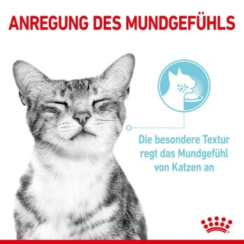 ROYAL CANIN SENSORY Feel In Soße Für Wählerische Katzen 12x85g 6 ROYAL CANIN SENSORY Feel In Soße Für Wählerische Katzen 12x85g – Bild 6