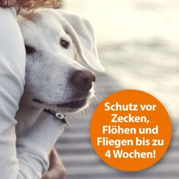 Ardap Zeckenspray Zur Anwendung Am Tier 250ml 5 Ardap Zeckenspray Zur Anwendung Am Tier 250ml – Bild 5