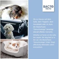 ChronoBalance BactoFacto Probiotischer Geruchsstopp Pads Für 2 Liter 20 Ml -Trixie Deutschland Verkaufs-Shop c27e75fc226c89e592b2af9866887997e79057a8 1397549 de DE 11eaf103bff429178d8c79950fc83faf63345183BU6JEF