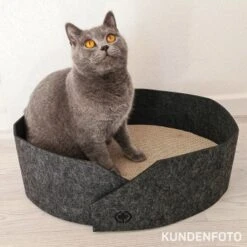 Canadian Cat Company Filzbett Owen Anthrazit -Trixie Deutschland Verkaufs-Shop c51998fa819bedfd52e2a067c594ea43b3a89b65 1361006 de DE 07d2361d22a8523e61e4518282ed61e19d2e959aqnQs4c