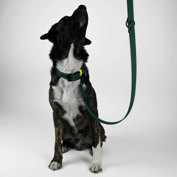 THE DOG IDEA Biothane Hundeleine Dunkelgrün 3 THE DOG IDEA Biothane Hundeleine Dunkelgrün – Bild 3