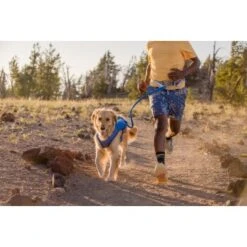 Ruffwear Trail Runner™ Leine 14 Ruffwear Trail Runner™ Leine -Trixie Deutschland Verkaufs-Shop caf2297a191491c28eeb3a22b1fdc7047bab611d 1651448 de DE fde7e85ea7aaab9a195c72c45a0c0b94c8c18aa1hyvWB4