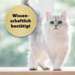 Felisept Home Comfort Nachfüller 45ml -Trixie Deutschland Verkaufs-Shop caf8bdd319326ad4f481de1e79b9c99dd7d55926 1667496 3