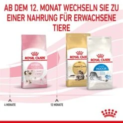 ROYAL CANIN Kitten 4 Kg 15 ROYAL CANIN Kitten 4 Kg -Trixie Deutschland Verkaufs-Shop cf133300f1a1c045b6143772211651d61c06ad62 3182550702973 7