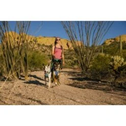 Ruffwear Swamp Cooler™ Geschirr Violett L-XL 21 Ruffwear Swamp Cooler™ Geschirr Violett L-XL -Trixie Deutschland Verkaufs-Shop d0abc349a10811bbd05c0fc614d96cb63a2f0613 1651453 de DE 00efb9f982076af20ddde1a707f7830a11c8e752c0zjBr