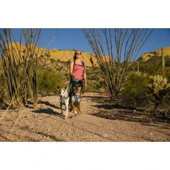 Ruffwear Swamp Cooler™ Geschirr Violett L-XL 11 Ruffwear Swamp Cooler™ Geschirr Violett L-XL – Bild 11