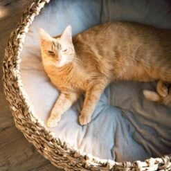 District 70 COCOON Natural M -Trixie Deutschland Verkaufs-Shop d1bca9000c27271741682ed9d9947040fa216679 010fccd4edaf289528235b12a94f95e756b71b5e