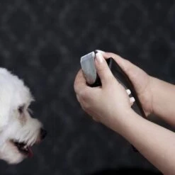 Moser Schermaschine Arco Pro 19 Moser Schermaschine Arco Pro -Trixie Deutschland Verkaufs-Shop d1c65d2d167a6d8fa4a6793a53ee3362d025451e ecb090312fbe9e8eac9c719cb575336bebaad472