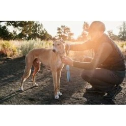 Ruffwear Web Reaction™ Halsband Blau S 15 Ruffwear Web Reaction™ Halsband Blau S -Trixie Deutschland Verkaufs-Shop d3a35049e9c877af4e809eacf99e8b70fd10e90d 1651469 de DE e4b26d10fc45962c6fa312f90366b5045e2c5f98pdXT30