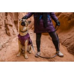 Ruffwear Overcoat Fuse™ Hundejacke Violett XXS -Trixie Deutschland Verkaufs-Shop d3f94d44f6e67346b4db3fd52a9a9b783d58a1b6 1639761 de DE f363d728c6c2883bd7afb3f30f0490bc0ed64f63oUWWPq